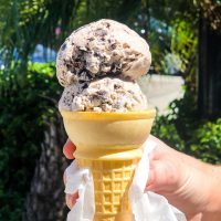 Blue scoop creamery ice cream opened despite the covid pandemic
